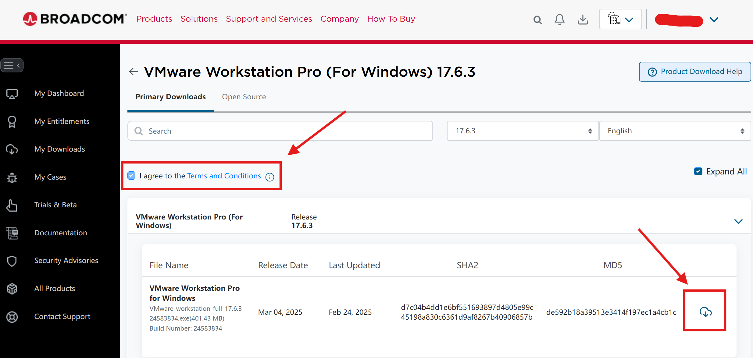 image-20250314160535907
